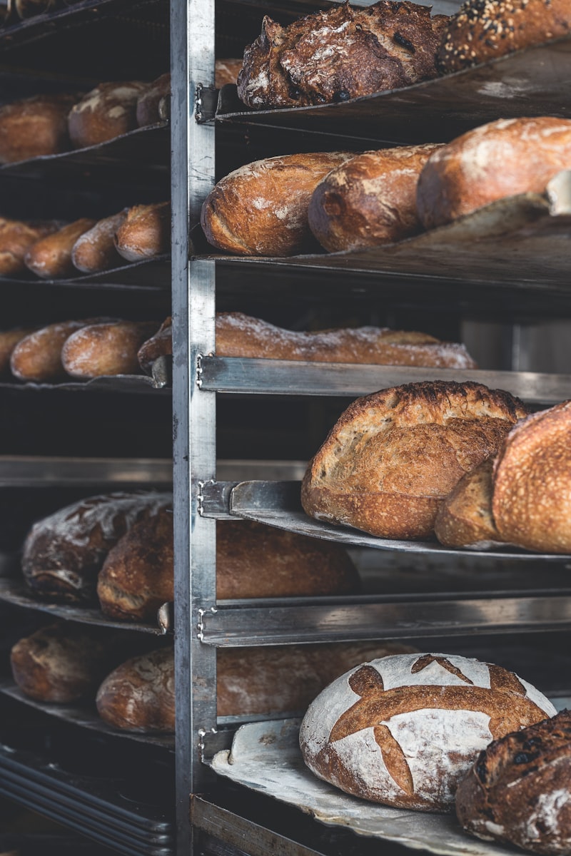 Pétrin 80L grande capacité pains sur grille boulangerie